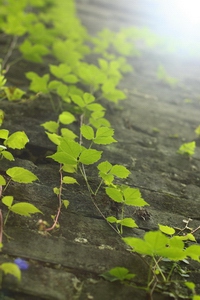 日系溫馨風(fēng)格小清新照片拍攝和處理要點(diǎn)有哪些？ 三聯(lián)